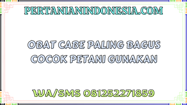 Obat Cabe Paling Bagus Cocok Petani Gunakan